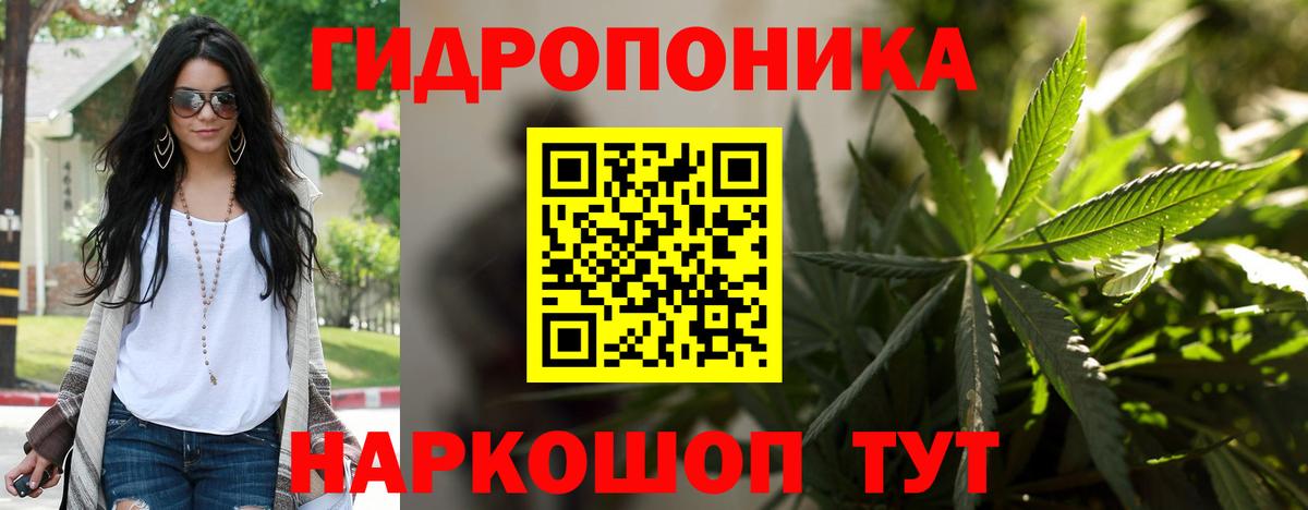 Шишки марихуана конопля  Вход с VPN  Казань  Каннабис OG Kush  Шишки марихуана планчик  Конопля SATIVA & INDICA 